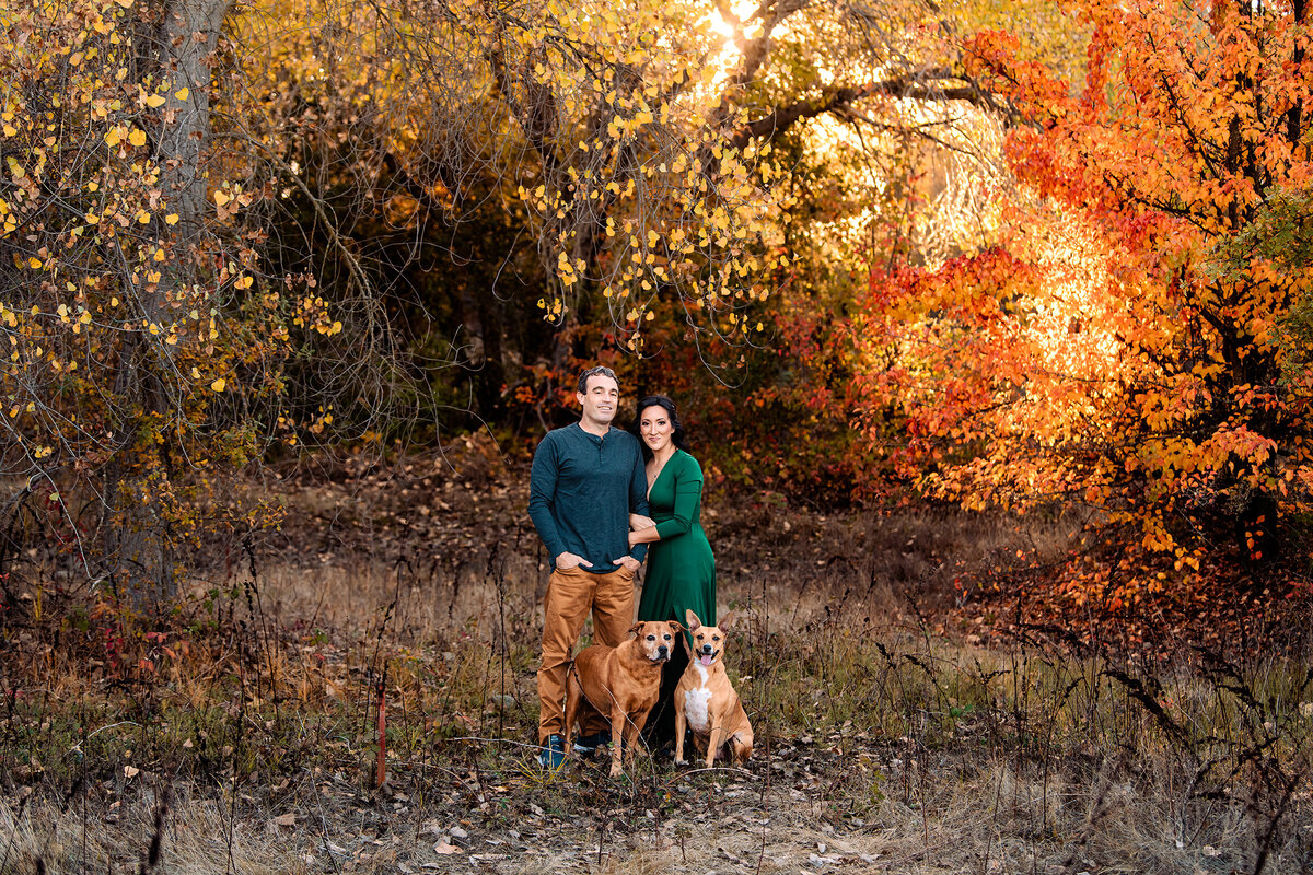 Folsom-pet-photographer