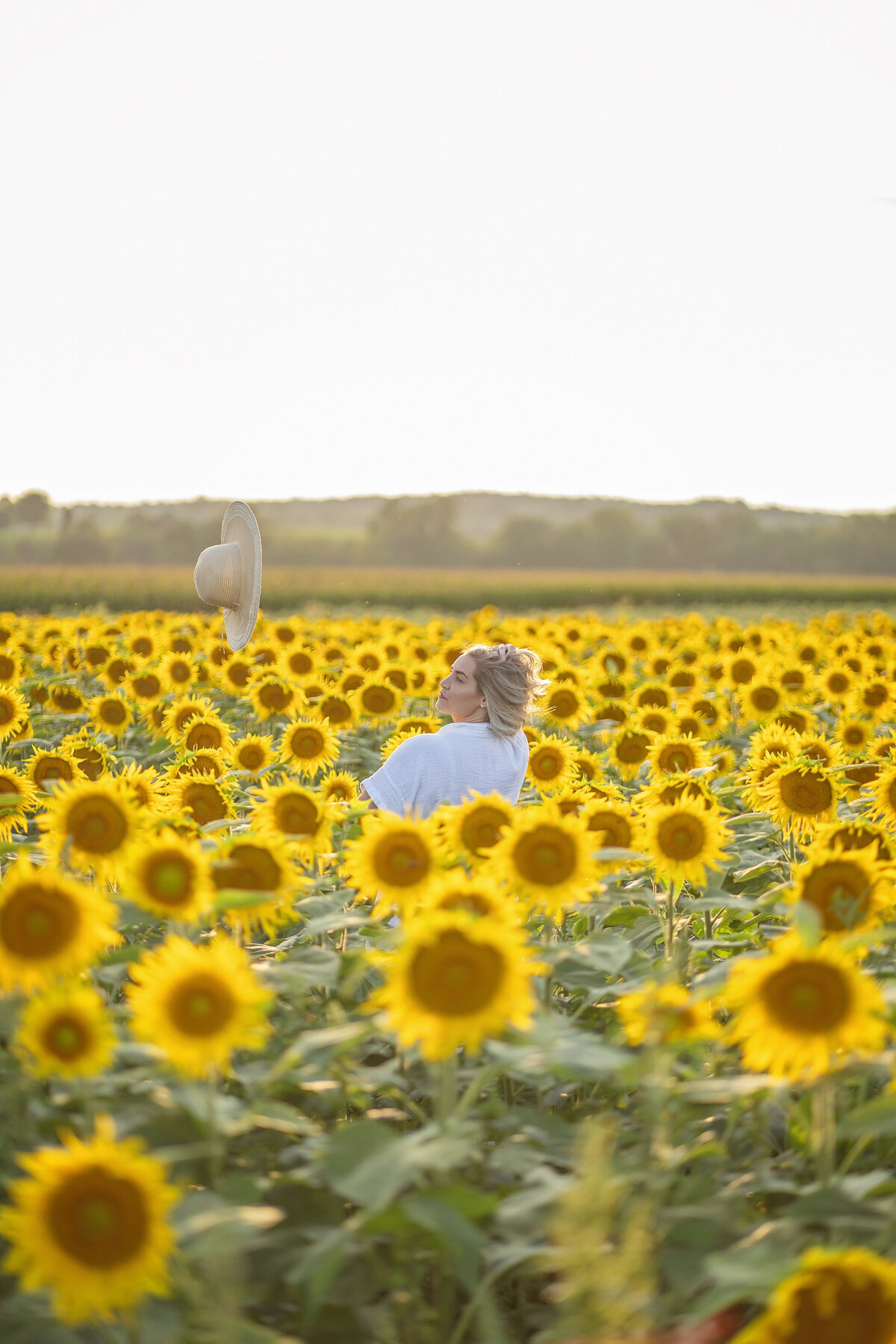kdsunflowers229