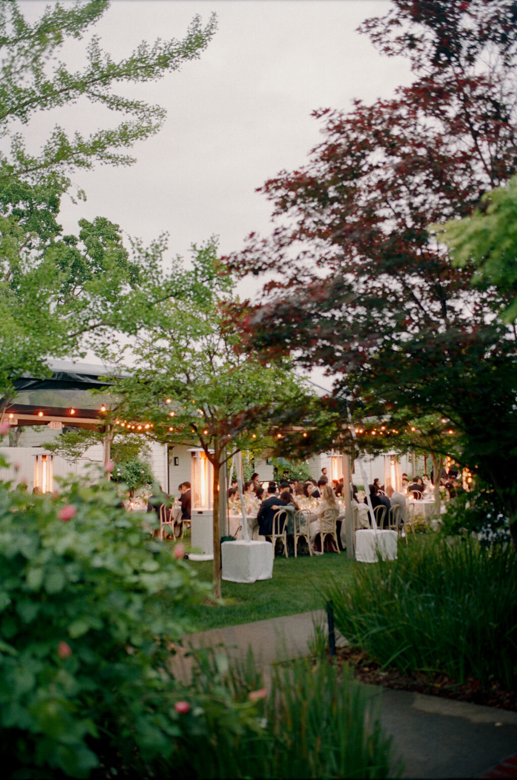 AnnaCalvin-Wed2025-866