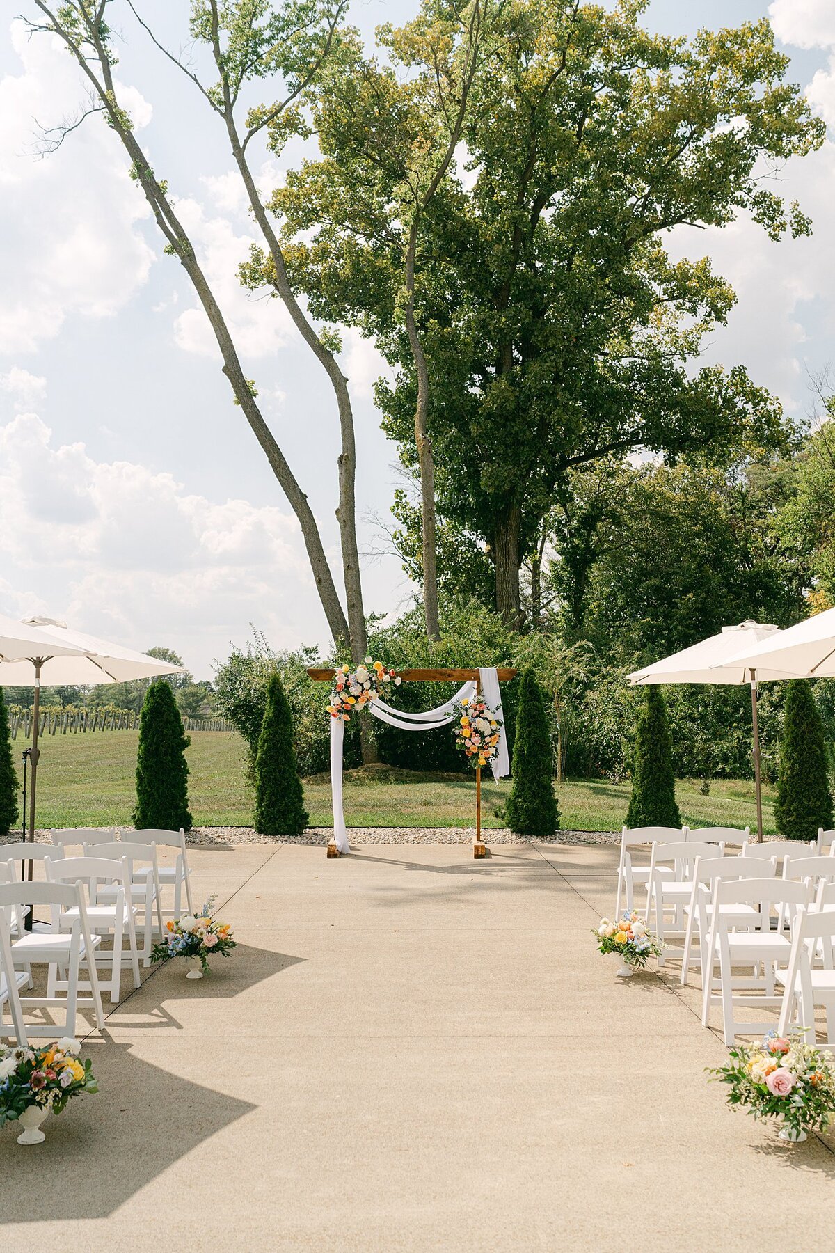 Daniel's Vineyard Wedding Alison Mae Photography_3047