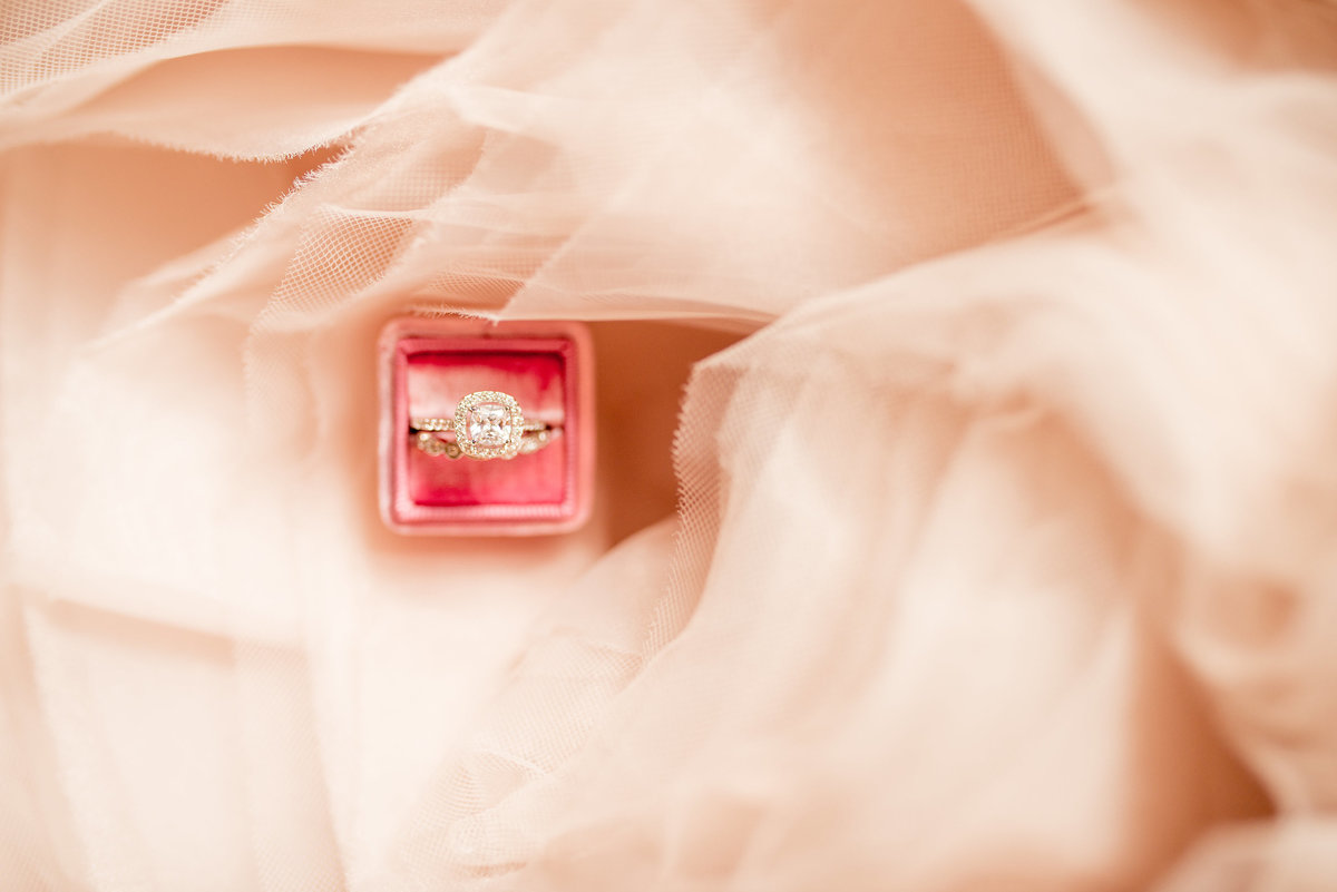 Heart's Content Events - Virginia Maryland DC Wedding and Event Planner - Marriage Coach - Adrienne Rolon - Photo1