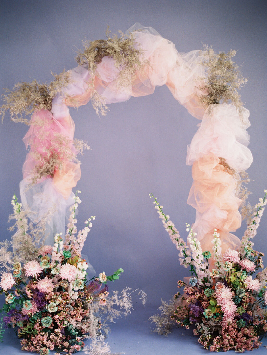 SALLYPINERA_SMITHANDJAMES_OFTHEFLOWERS_PRISMATIC_-214