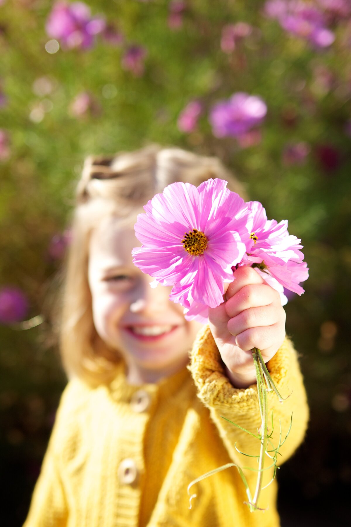 Family_Photos_by_Mike_Steelman_Photographers_255