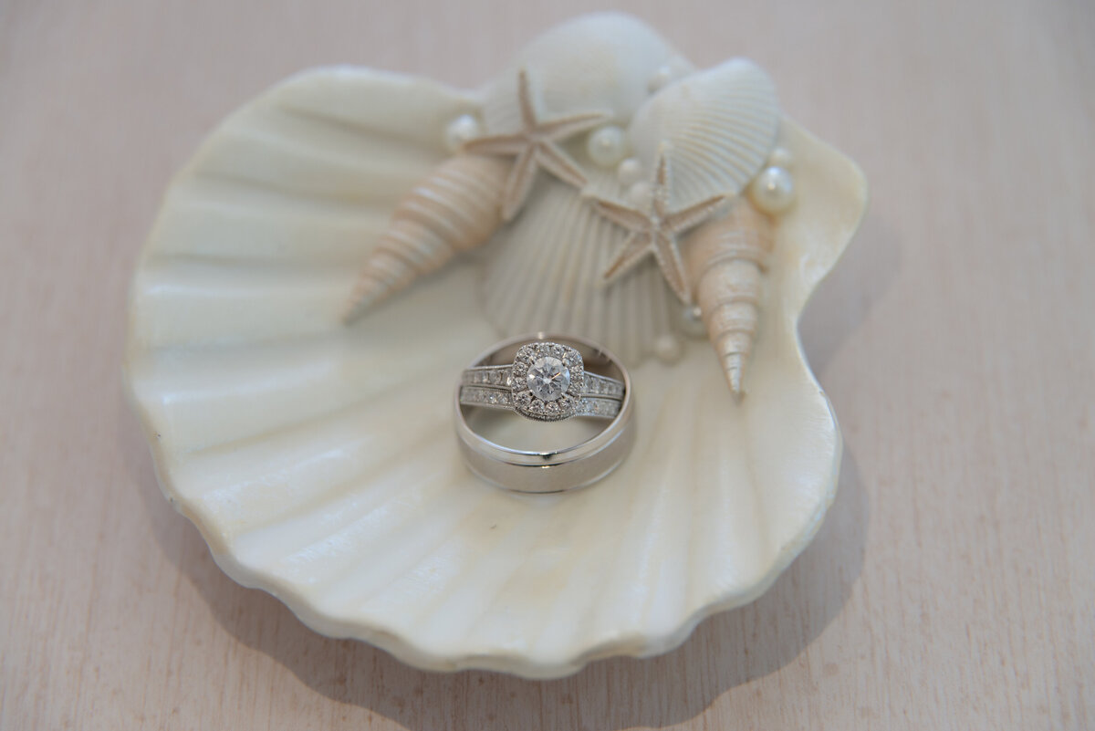 Wedding rings in seashell in Old Orchard Beach Maine