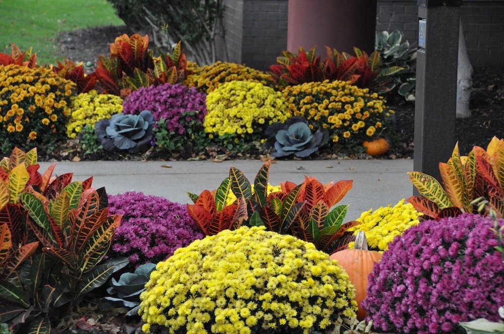 Commercial landscape company project in Kansas City: seasonal flowers showcase