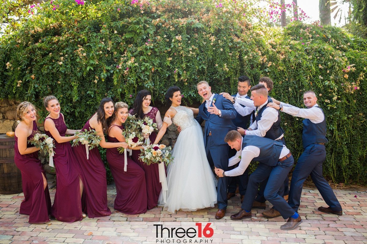 Bridal party tries to pull the Bride and Groom apart from one another