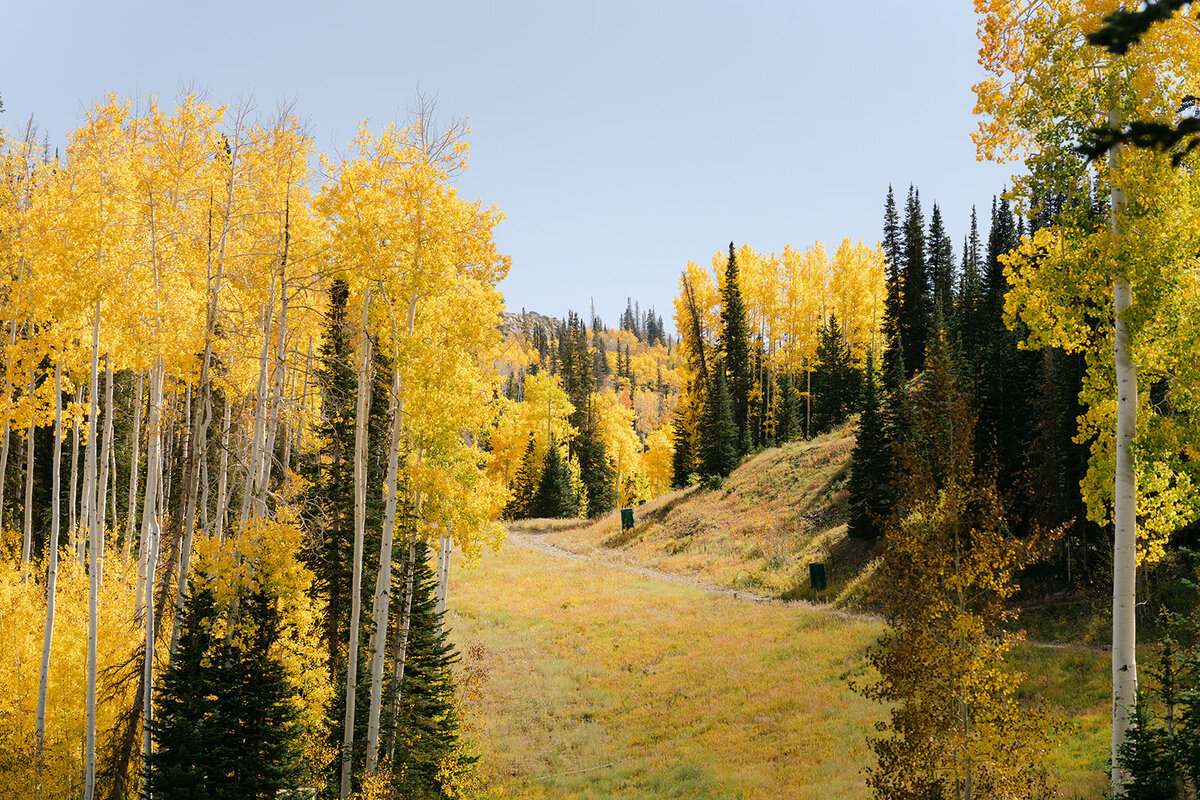 deer-valley-fall-park-city-mountain-wedding-pepper-nix-2130-0401