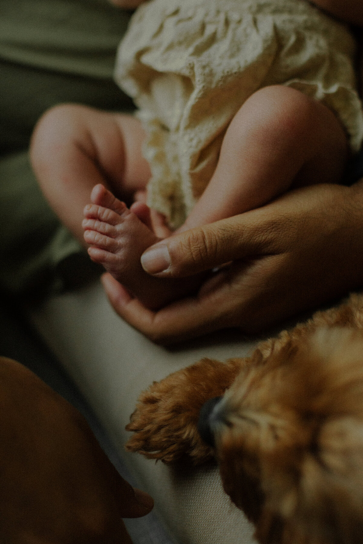 awhitcraft_purvihimanshu newborn-77
