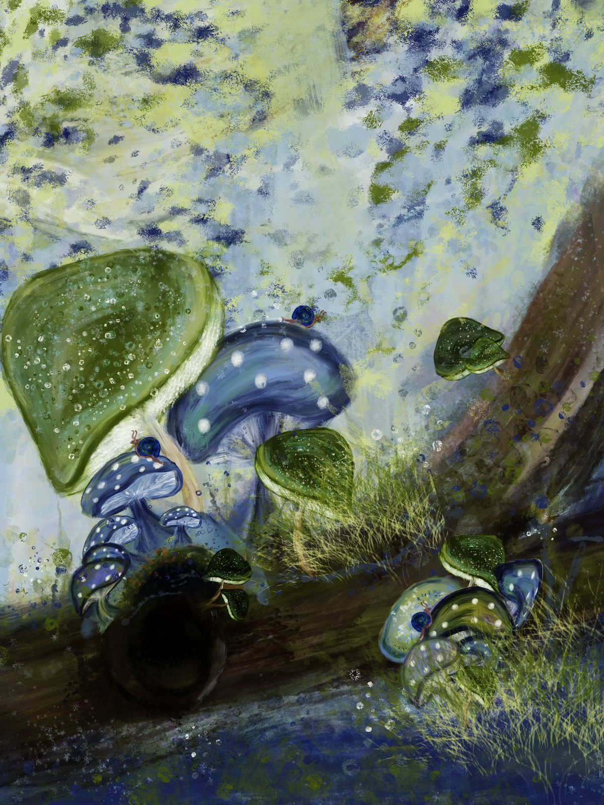 Mushroom 3 c adjusted