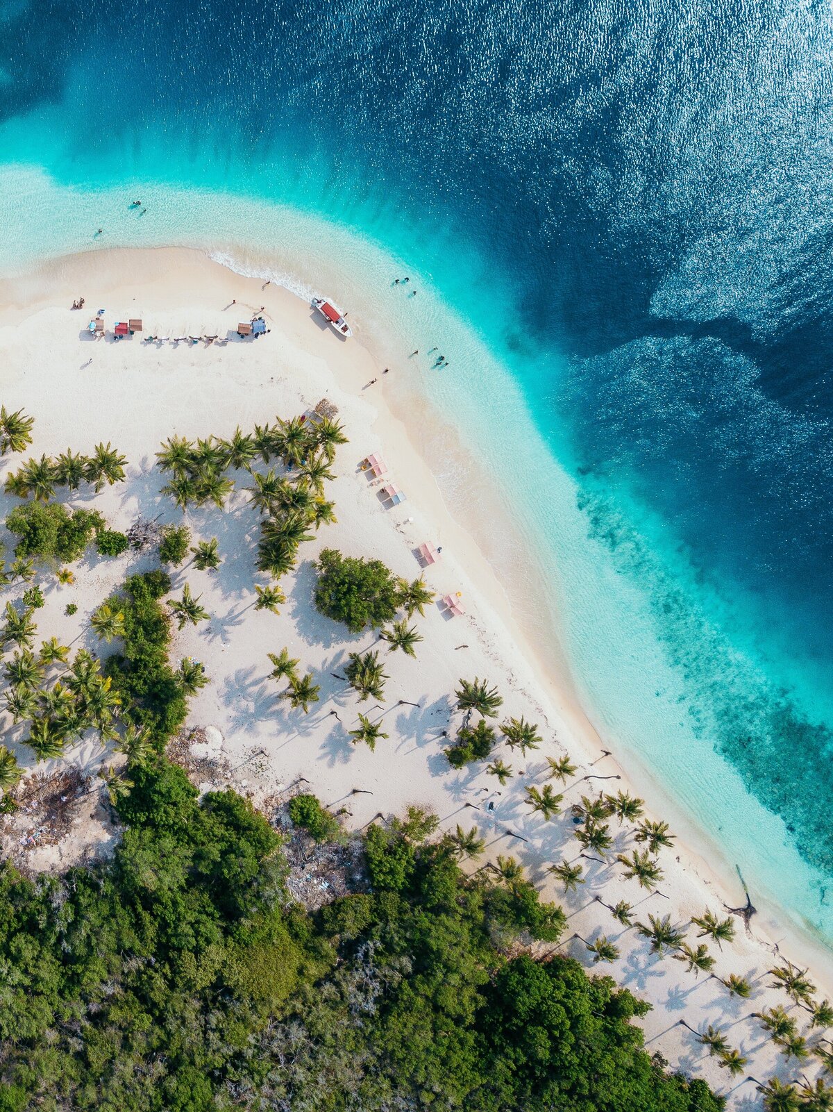 lalo-hernandez-Amo081zdJsI-unsplash