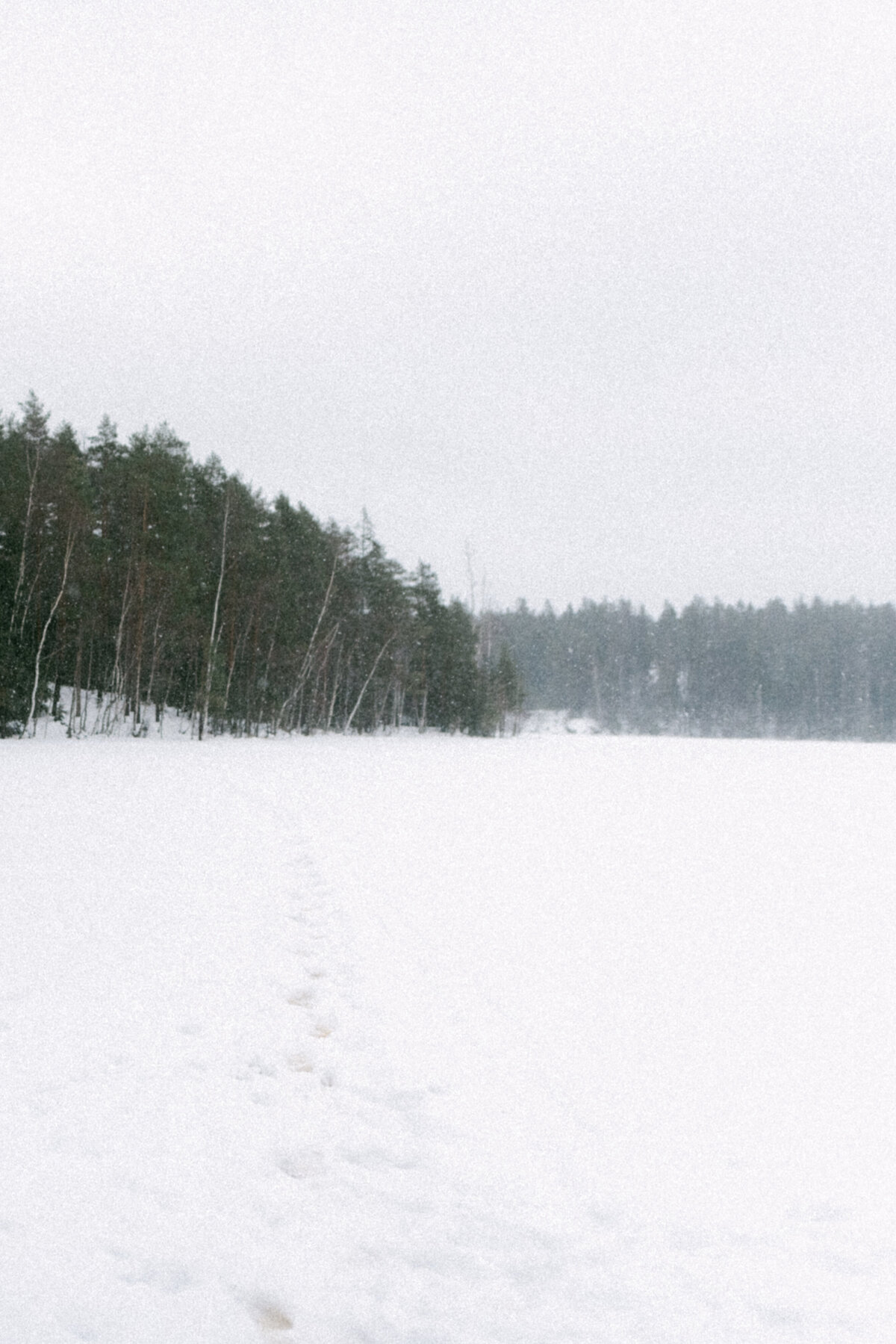 Jäätynyt järvi talvisessa kihlakuvauksessa valokuvaaja Hannika Gabrielssonin kuvaamassa valokuvassa