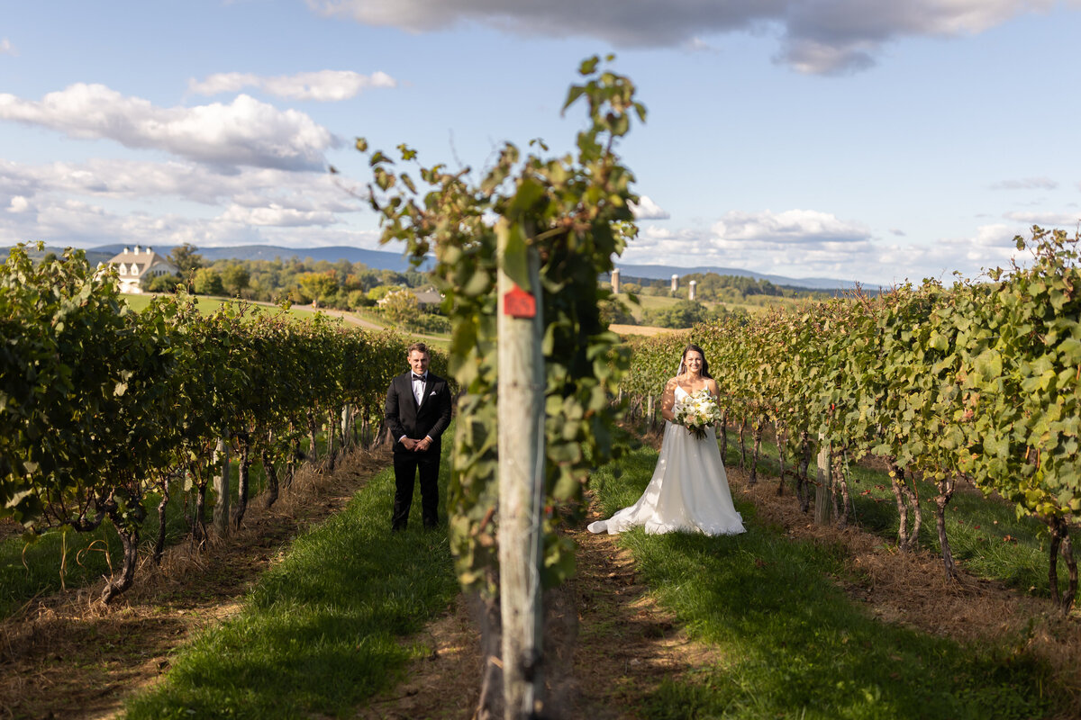 loudoun-studios-wedding-bluemont-blue-valley-vineyards-virginia00002