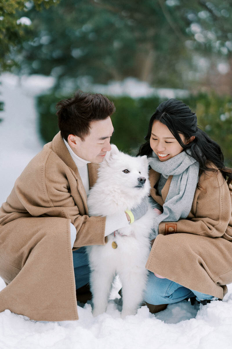 Engagement 1200px-1185