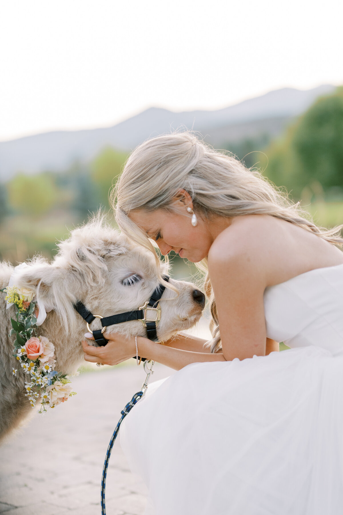 _ashlee_brooke_photography__DSC_5569 (1)