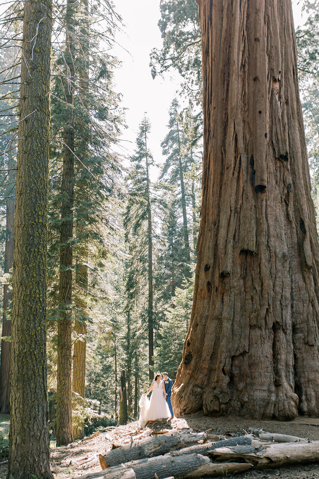 Brit and Carley Elopement in Sequoia National Park-118_websize