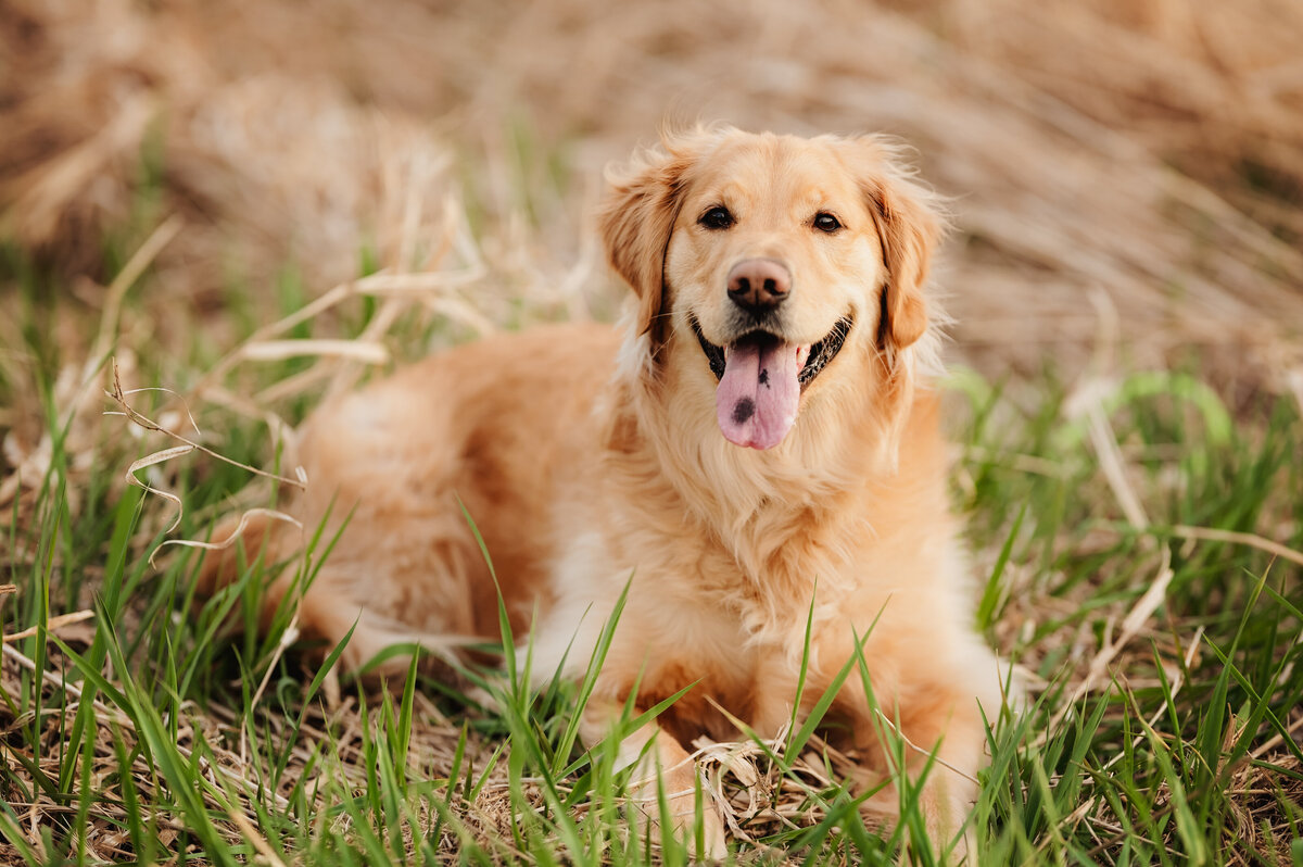 RyanS_Spring2025_019