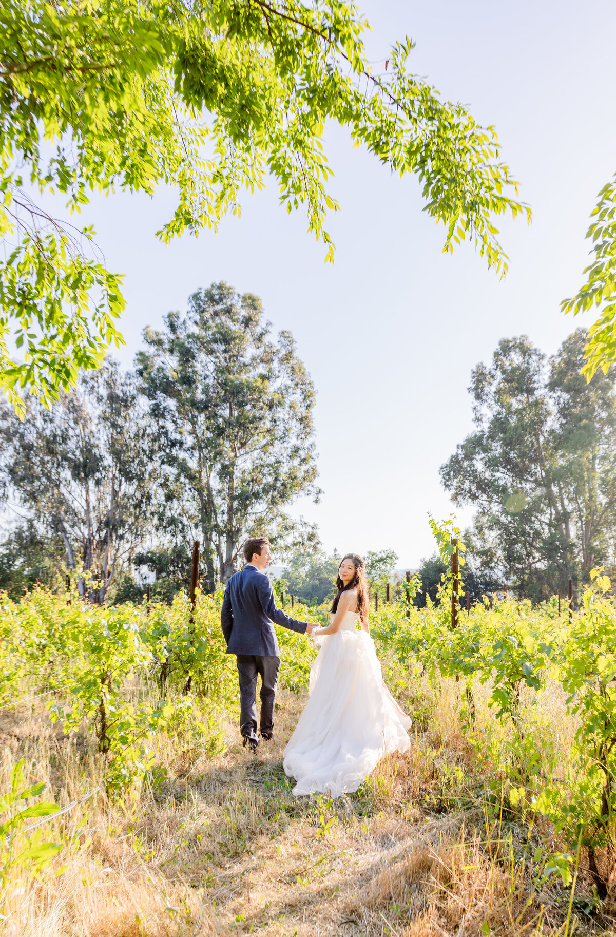 SF Bay Area Gilroy Vineyard Winery Wedding