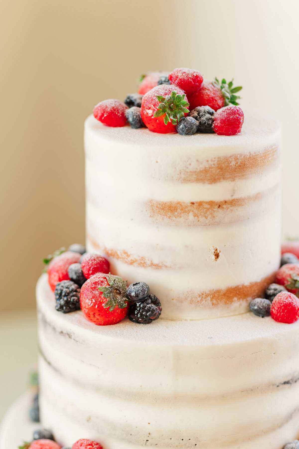 Mahsa + Arjung at Briar Patch Bed and Breakfast Middleburg Persian Wedding-543