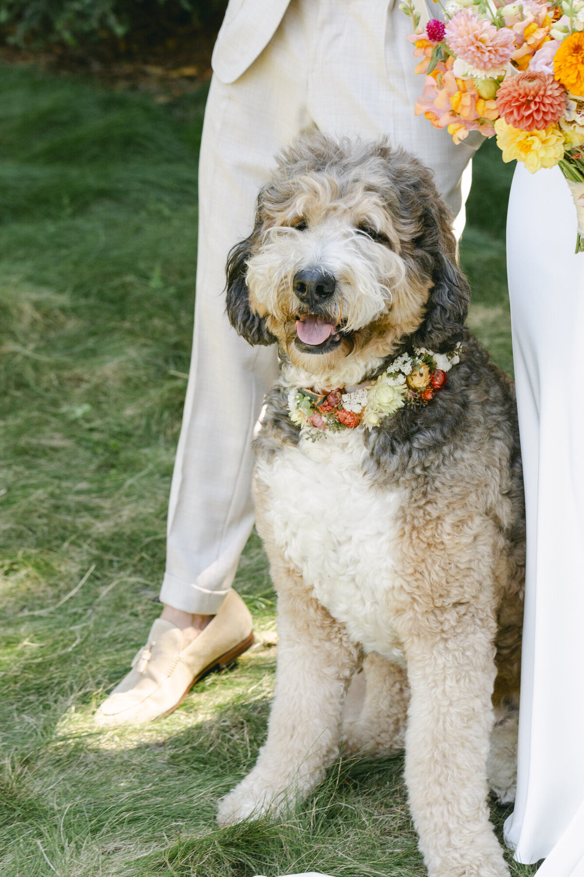 PERRUCCIPHOTO_CARMEL_VALLEY_RANCH_WEDDING_88