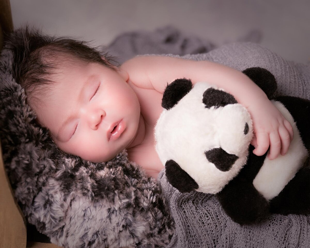 Tally Safdie photography newborn session baby boy with panda