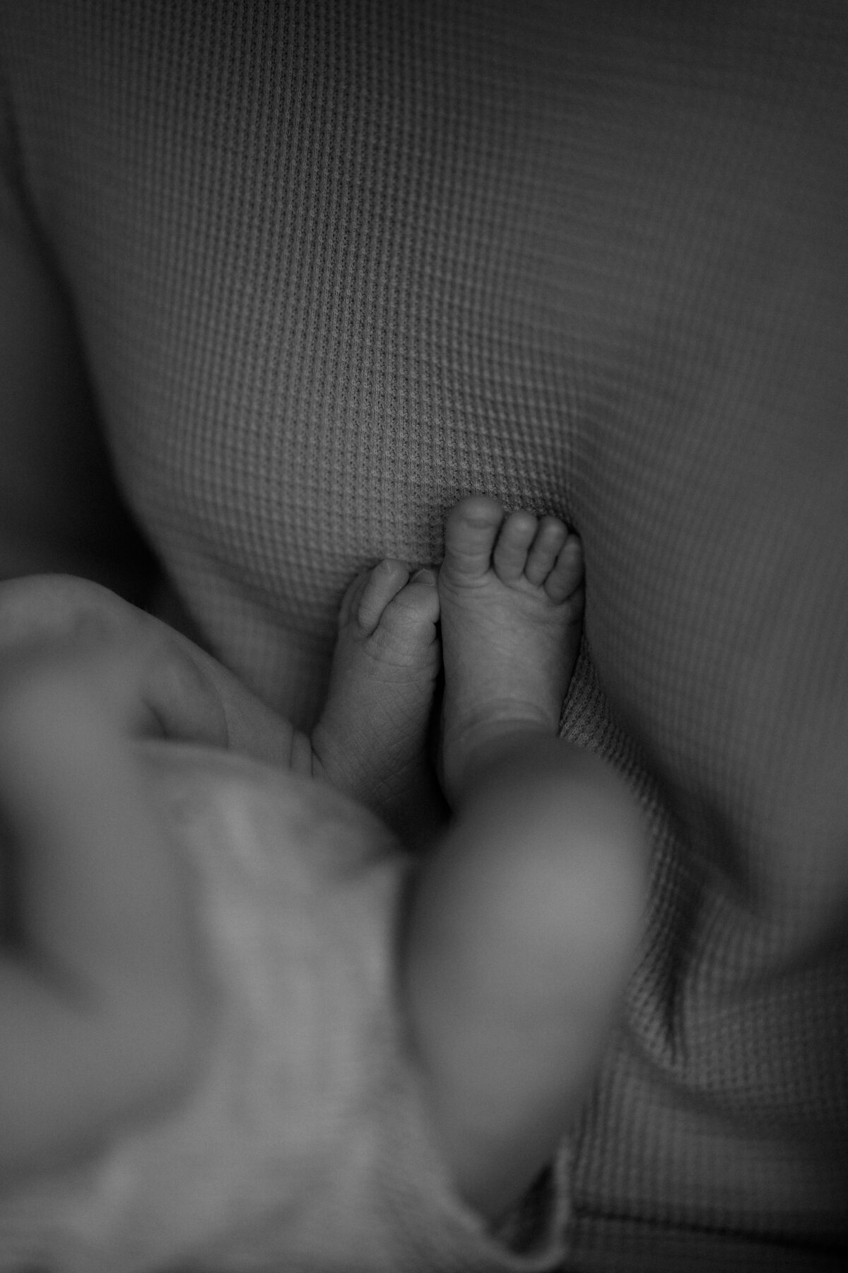 GraceDovePhotography_Hattie-7
