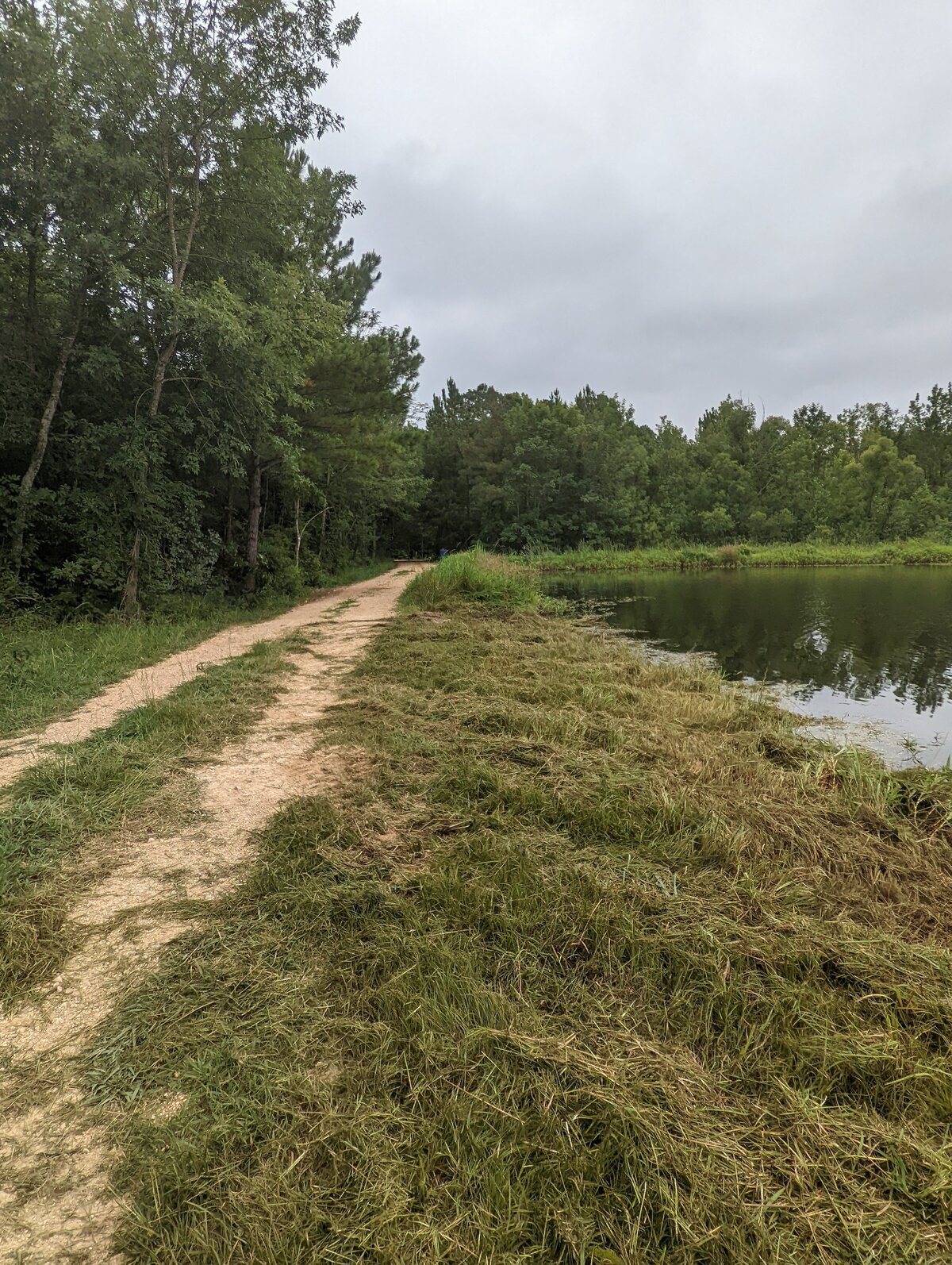 dirt-path-between-pond-and-treeline-on-a-cloudy-day