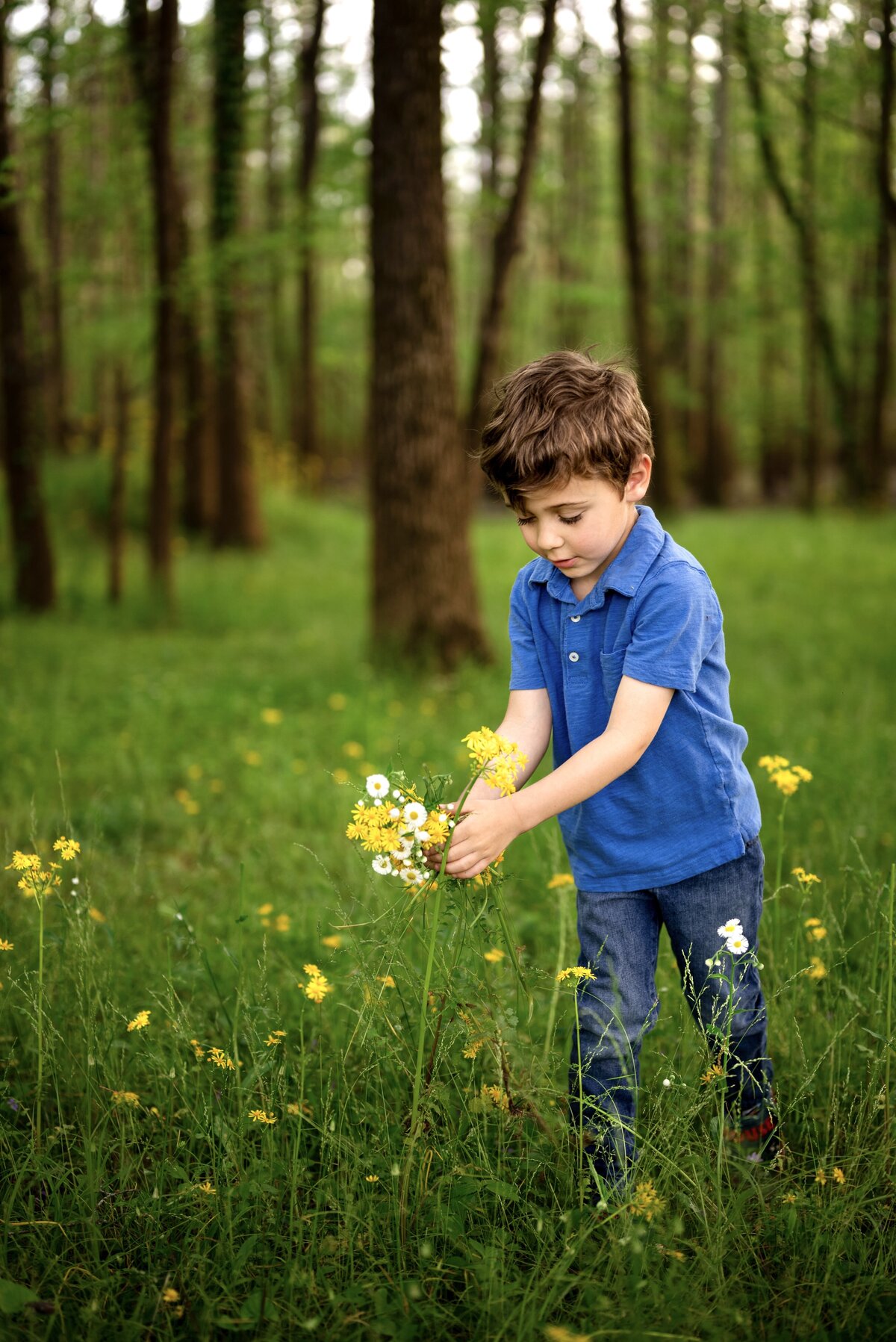 A young boy picks wildflowers at Hayes Nature Preserve