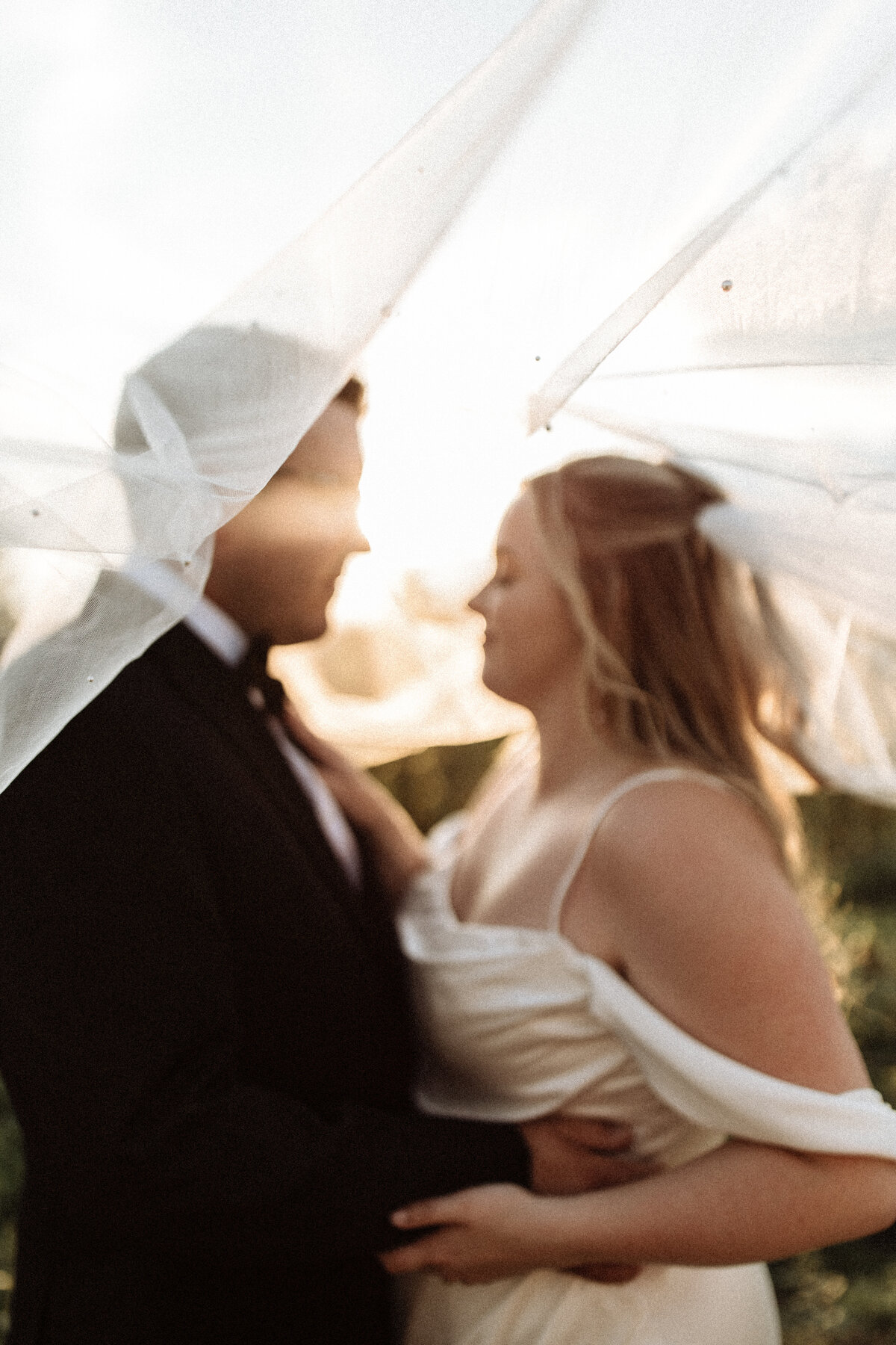 winery-wedding-veil