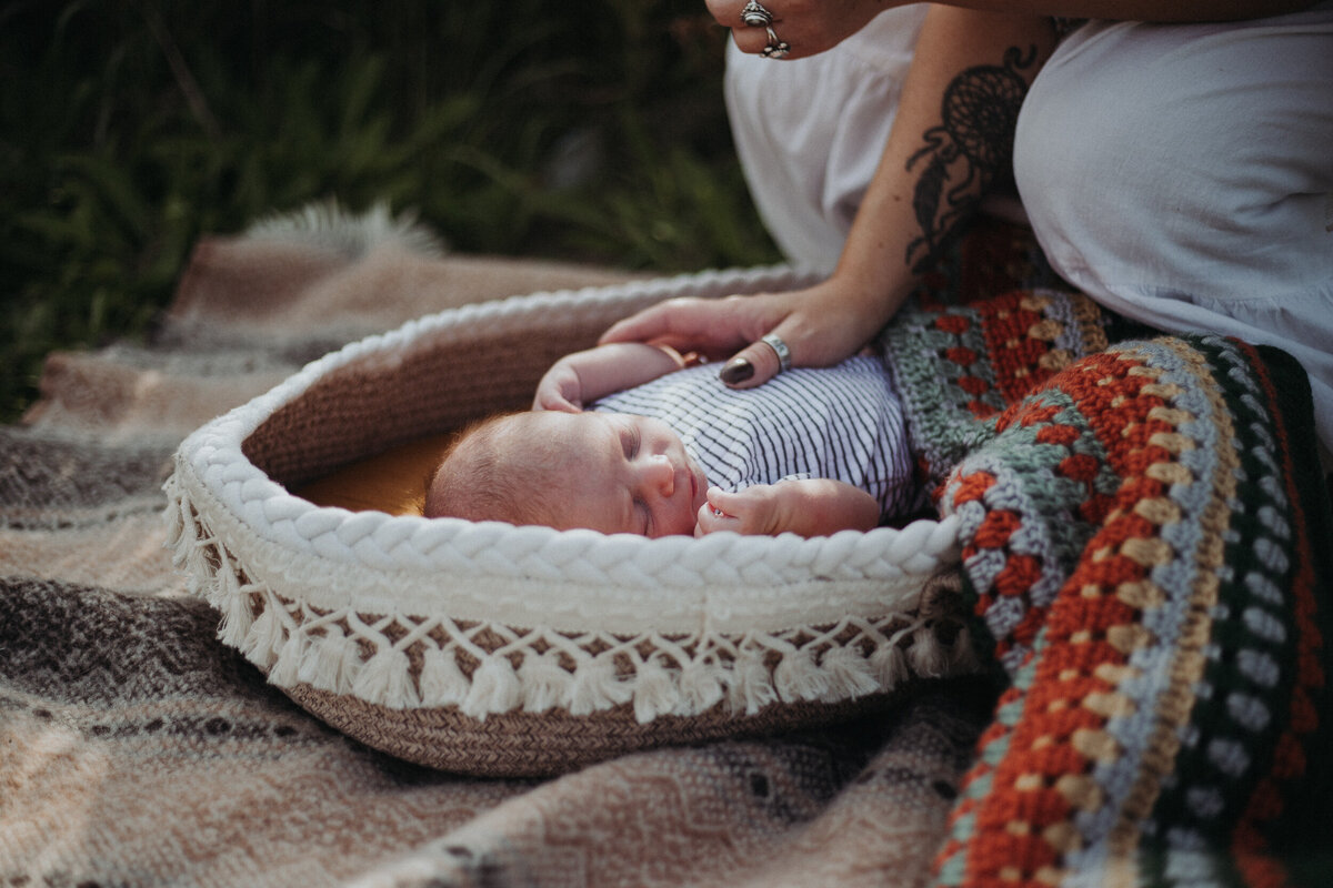 brown-family-session-10