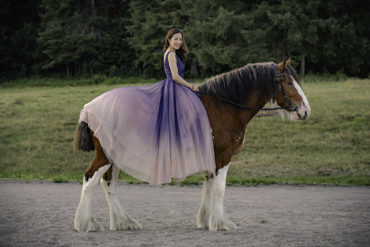 seattle-equine-photoghrapher-8
