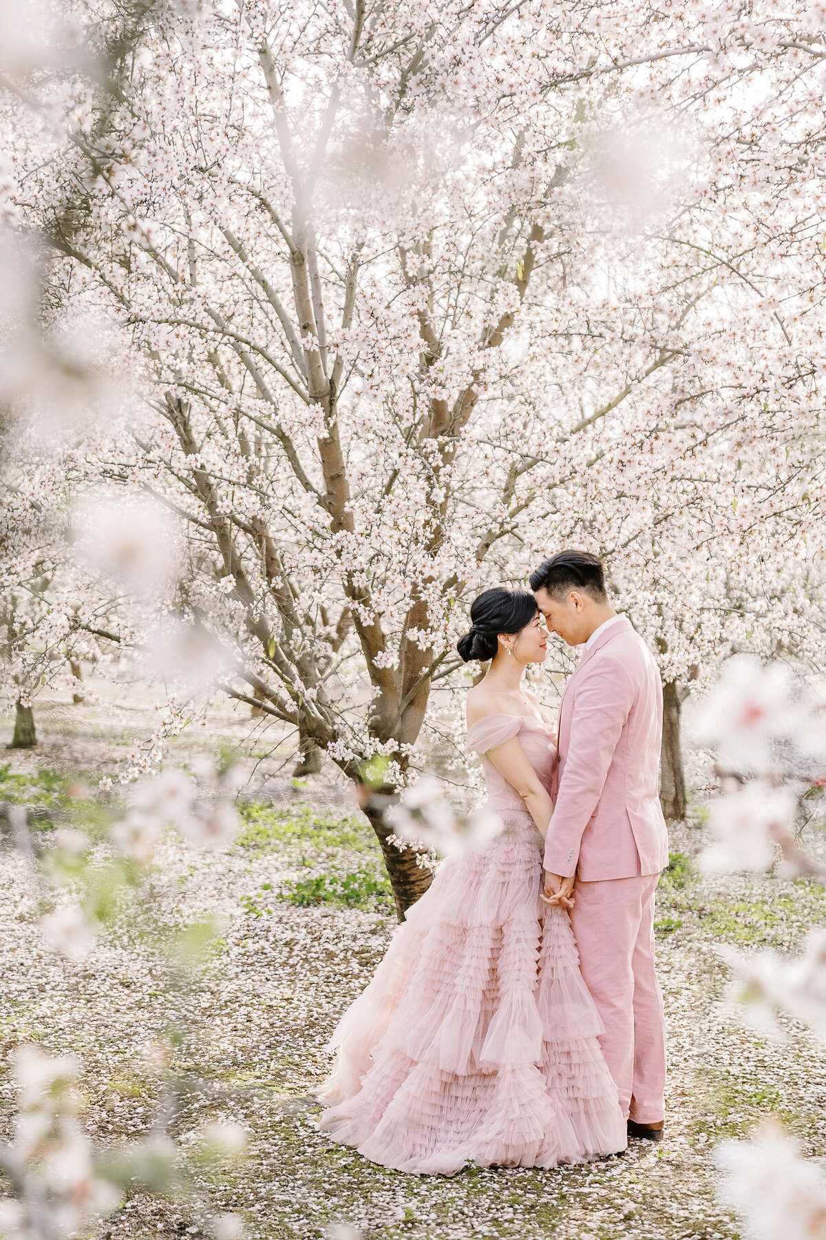 abele-farms-almond-blossom-engagement-12