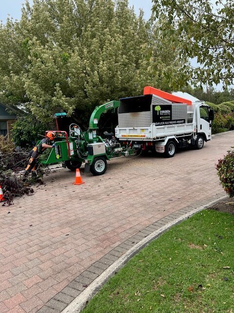 Evergreen Tree Services SA-Recycle