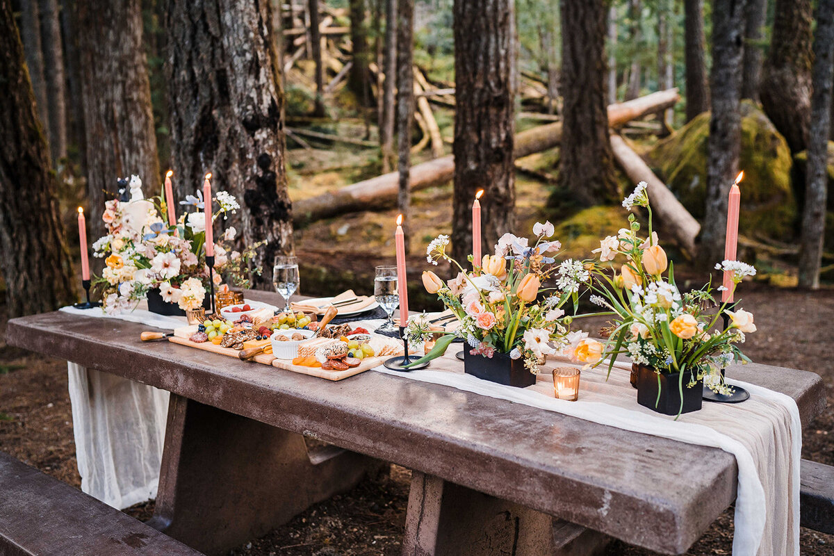 Colorful spring elopement picnic with charcuterie board in Olympic National Park campground!