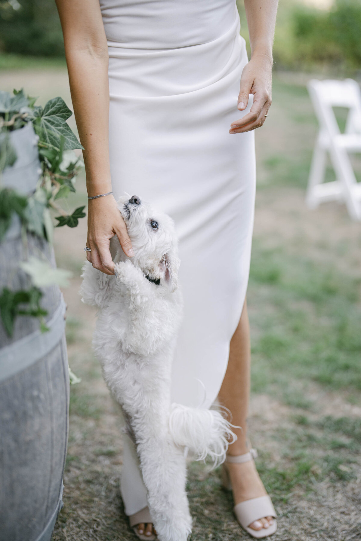 Intimate Gig Harbor Wedding Washington Ksenia Vasenev Photography_20240921_0008_1
