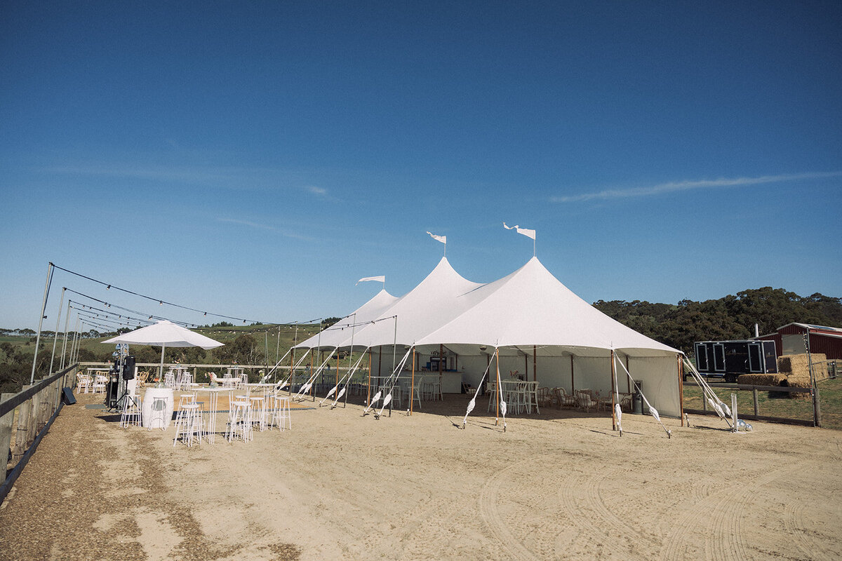 Millie & Ned NYE 2023-368