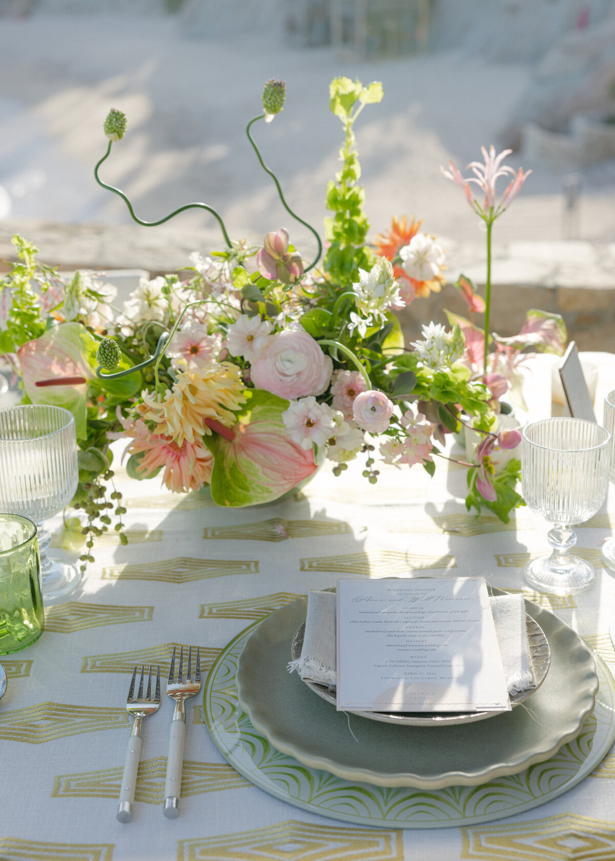 cabo-wedding-Holly Clark Photography -742