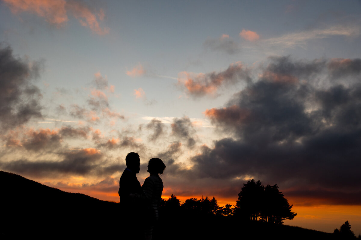 Allie&WillEngagement_165