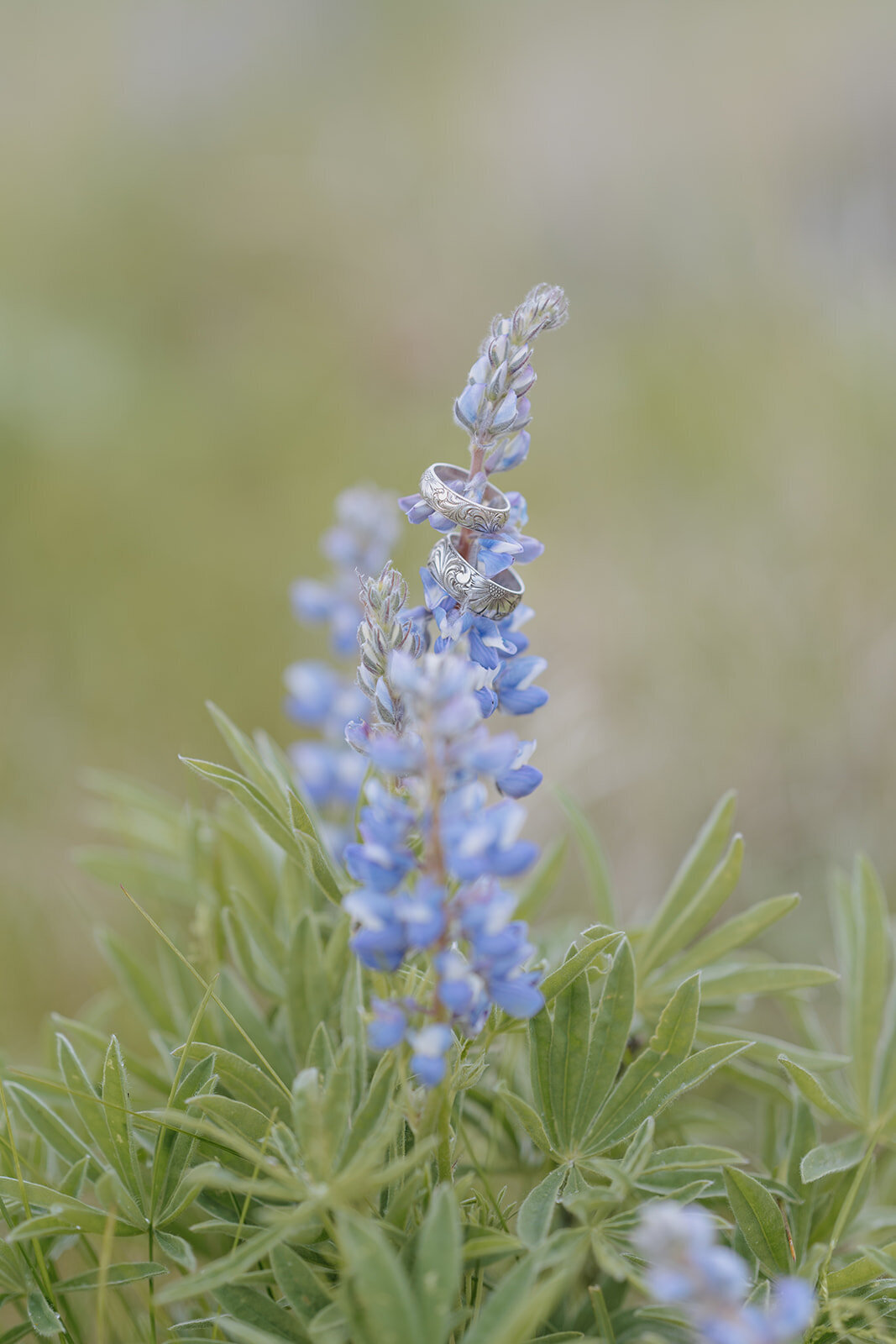 Carly-Patrick-Sheridan-Wyoming-Elopement-278