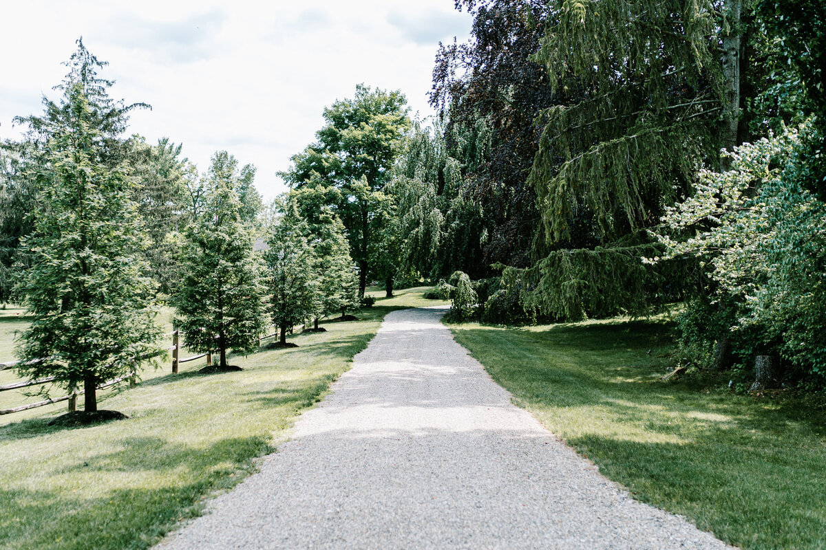 Long tree lined path on the Estate grounds