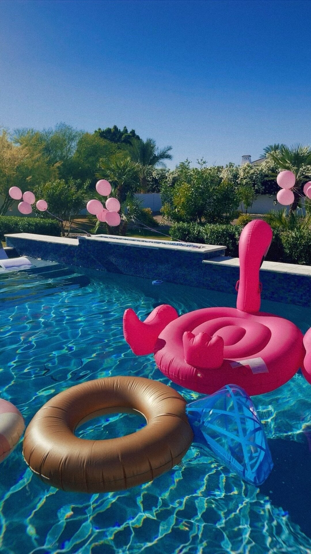 Picture-perfect and aesthetically planned bachelorette celebration in Scottsdale