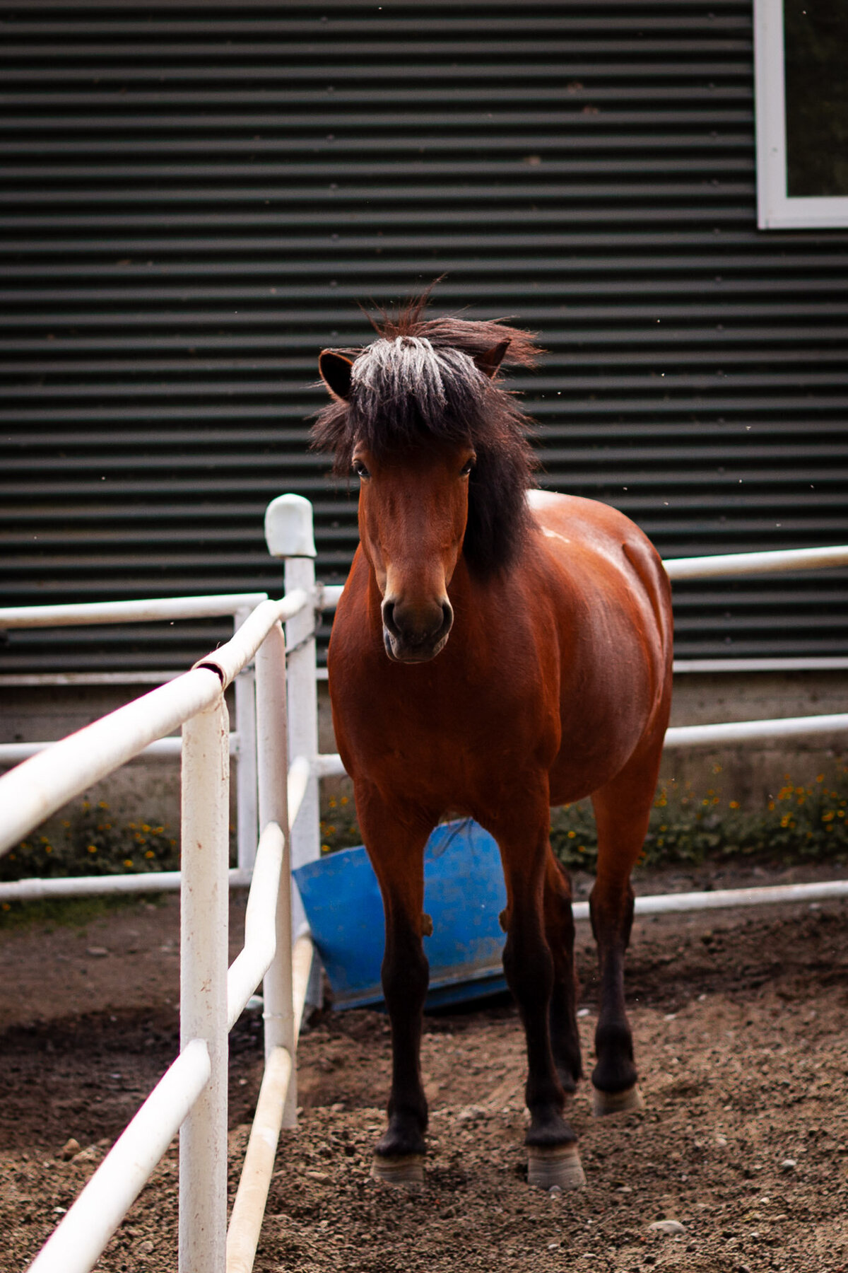 Iceland for Website-26