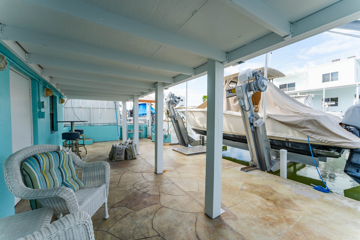 Backyard (3)