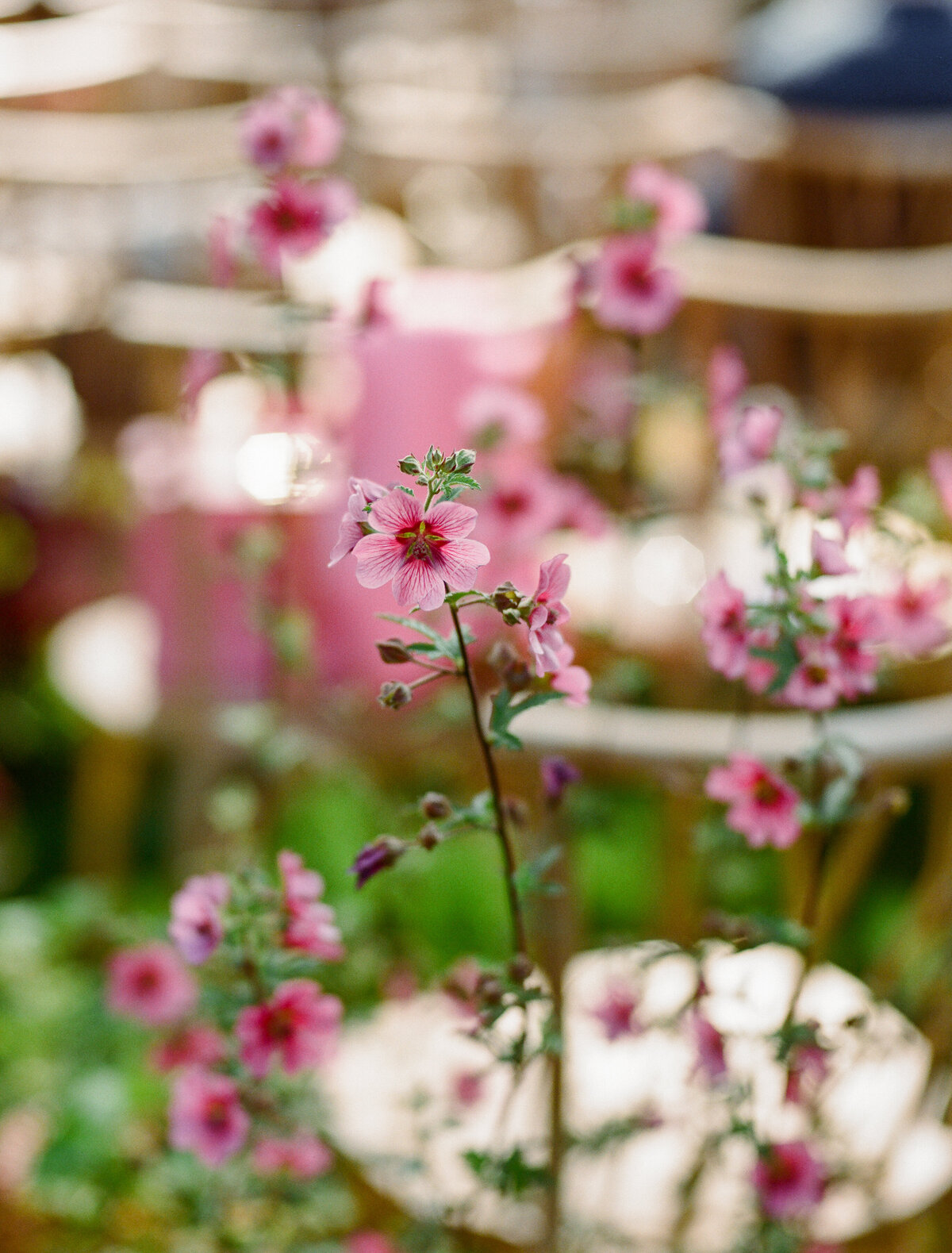 napa-documentary-best-photographer-wedding-dejauregui-photography-158