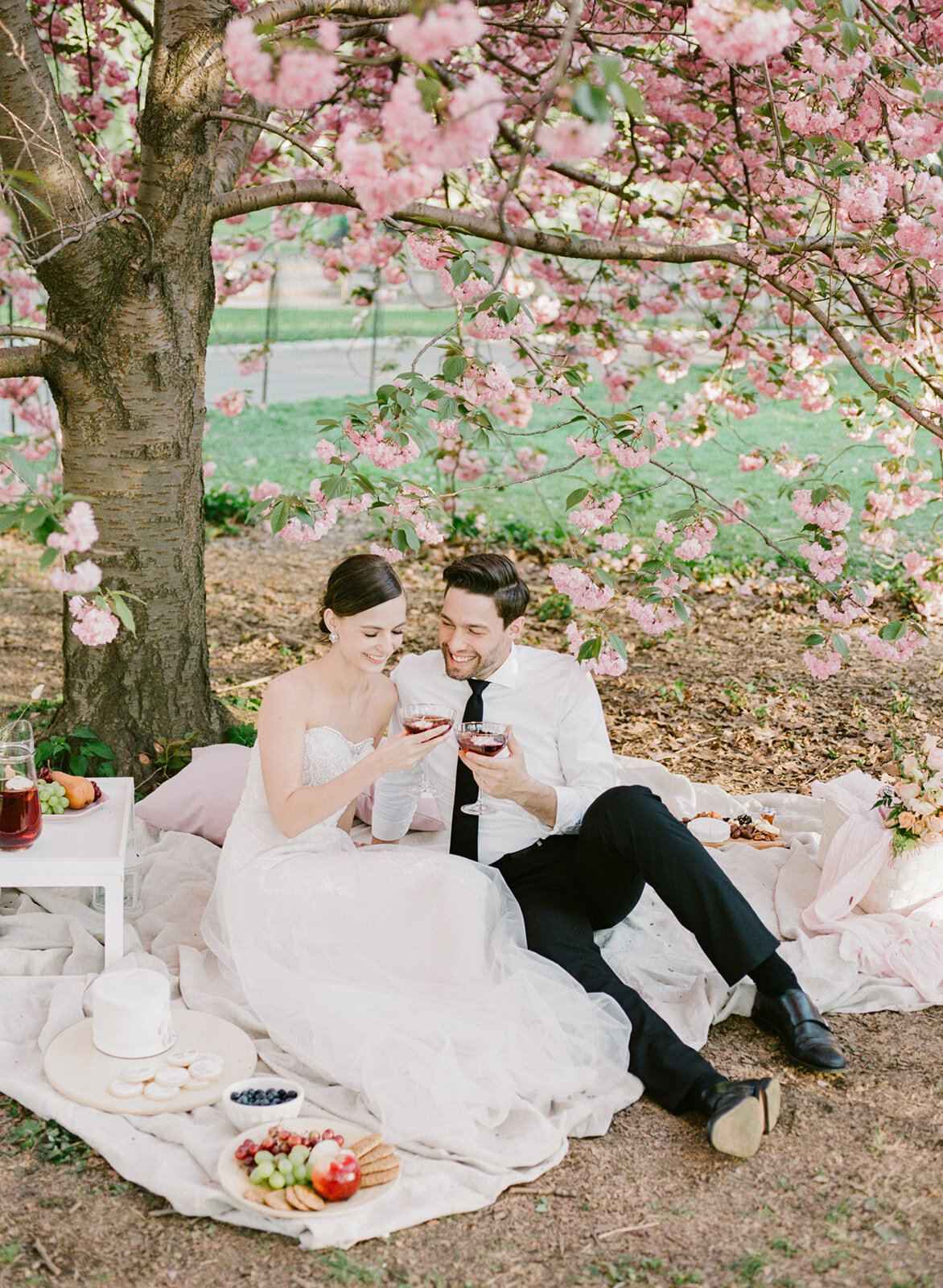 NYC_ELOPEMENT_WITH_PICNIC_IN_CENTRAL_PARK-263_websize