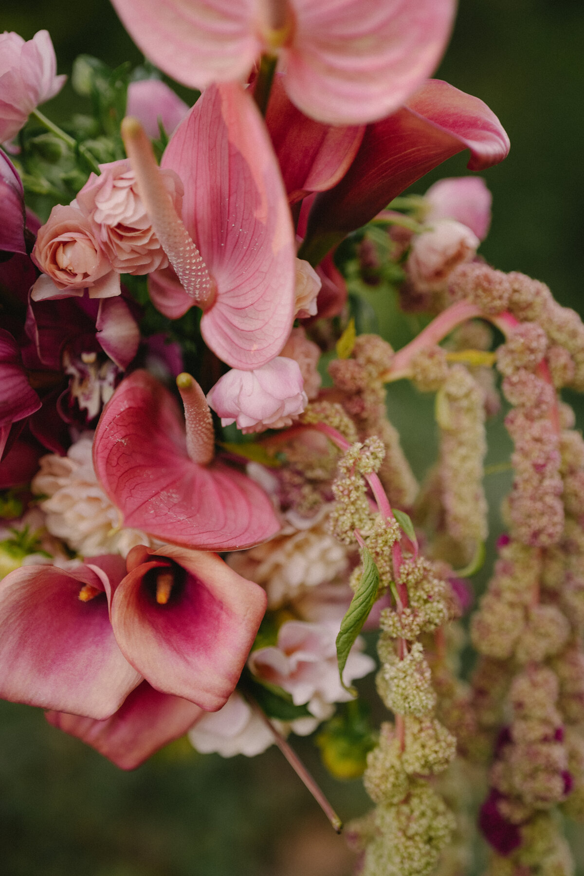 Ashley Karim Photography-073
