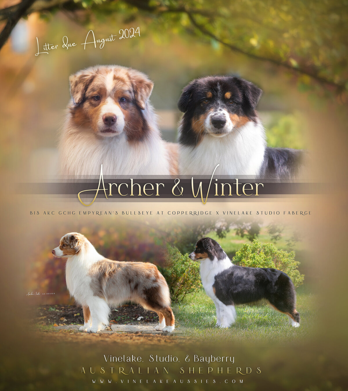 Archer x Winter copy 3