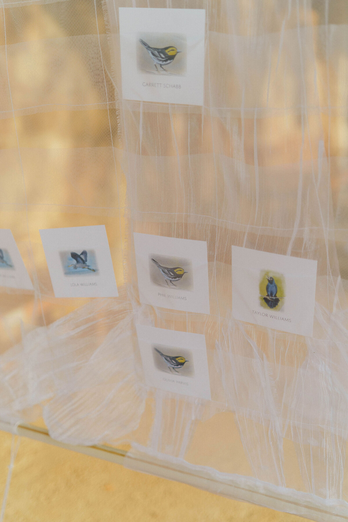 Family&Friends_Esme&JacobWeddingPhotos_AustinWeddingPhotographer_HereafterFilms-9