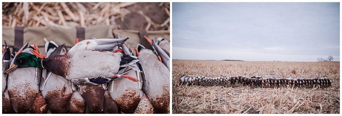 Fowl Plains Central Kansas duck and goose hunting outfitter0126