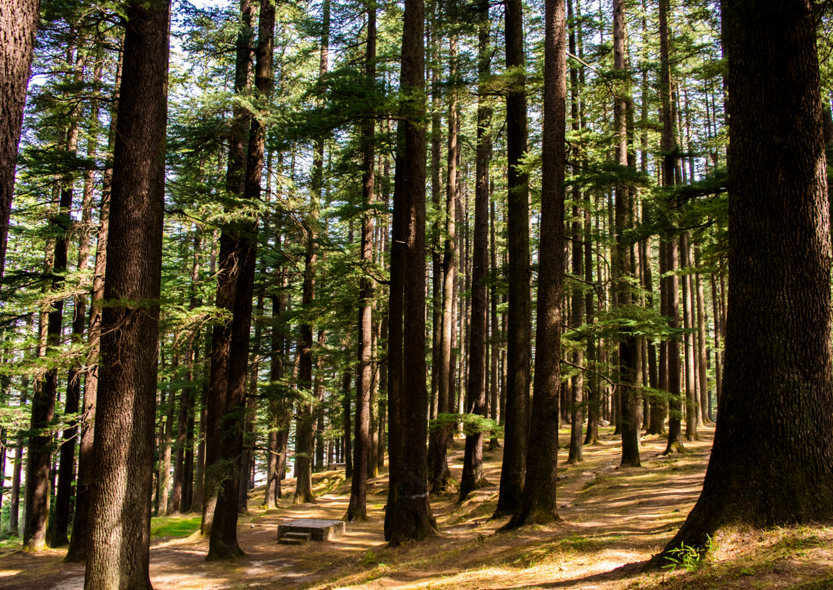 Conservation Easements in Central California 
