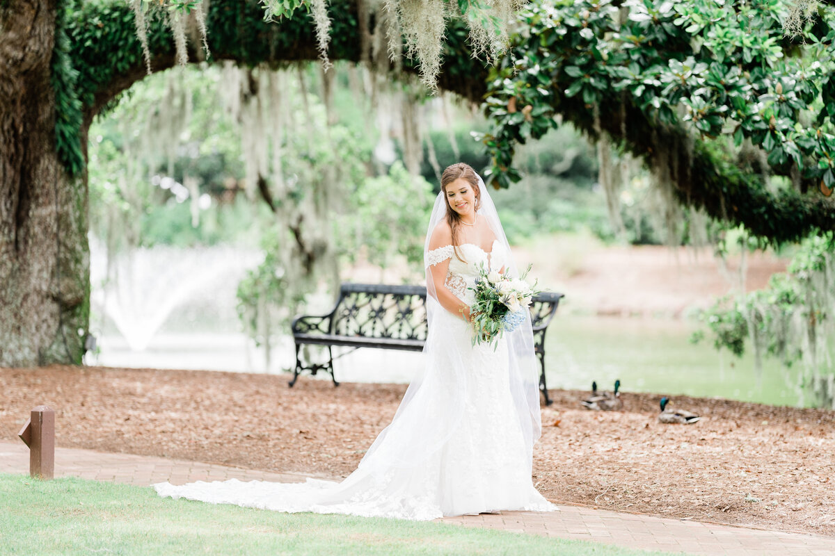 Bride standing under Spanish moss